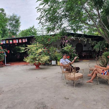 Alojamiento Casa De Campo Los Cactus Villavieja Buitenkant foto