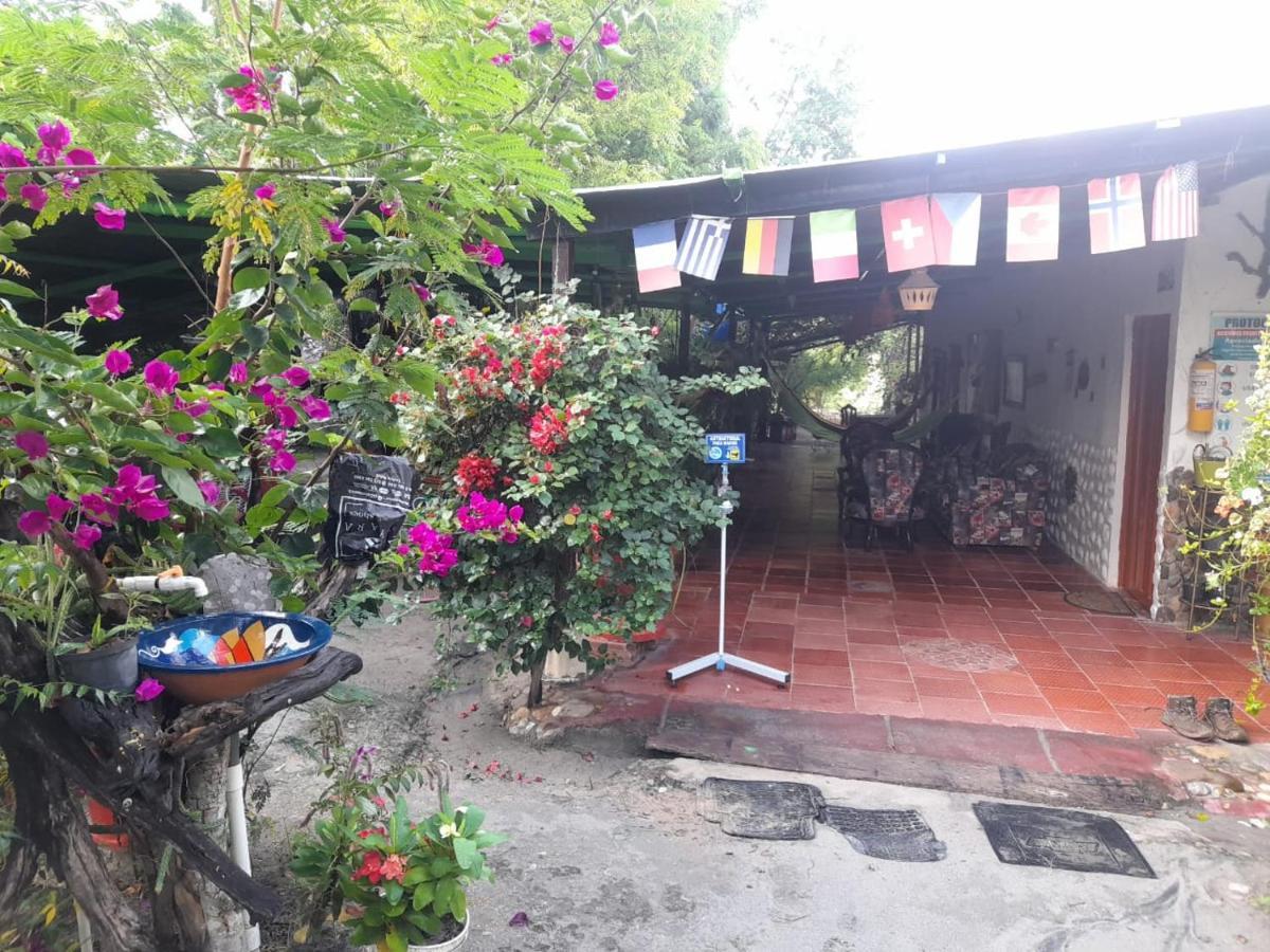 Alojamiento Casa De Campo Los Cactus Villavieja Buitenkant foto