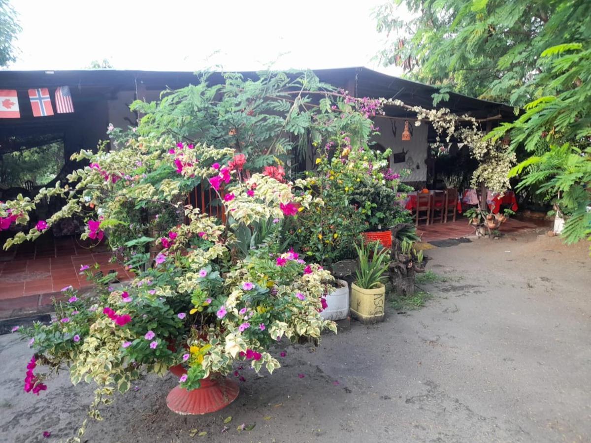 Alojamiento Casa De Campo Los Cactus Villavieja Buitenkant foto
