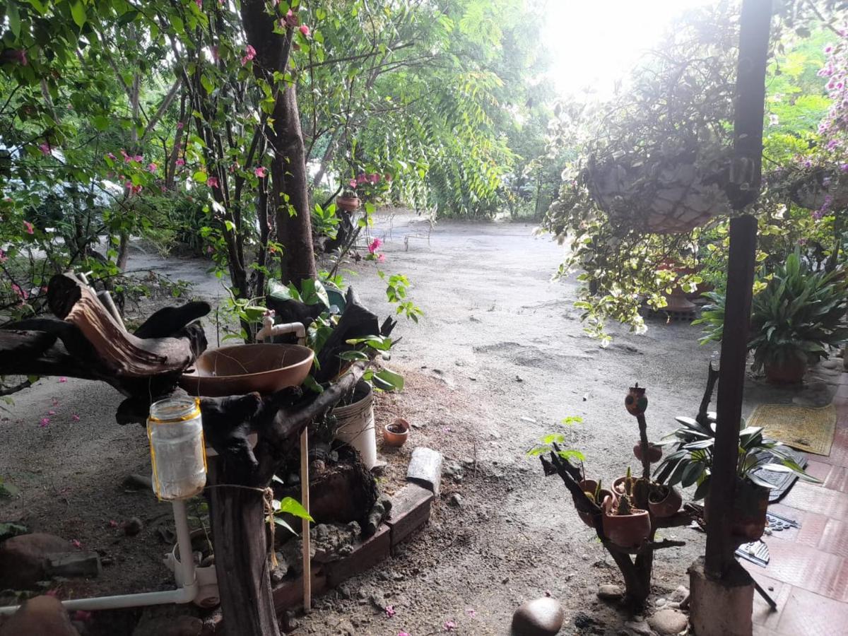 Alojamiento Casa De Campo Los Cactus Villavieja Buitenkant foto