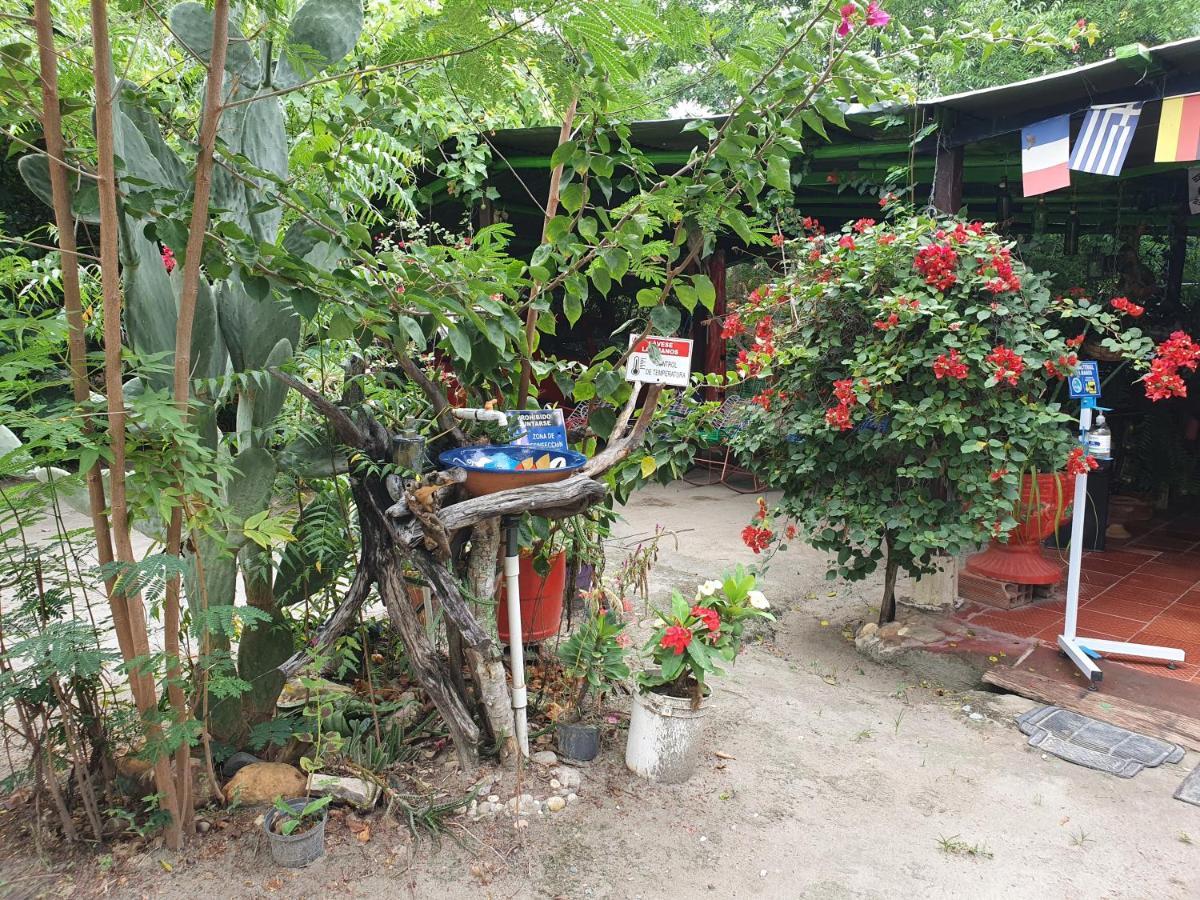 Alojamiento Casa De Campo Los Cactus Villavieja Buitenkant foto