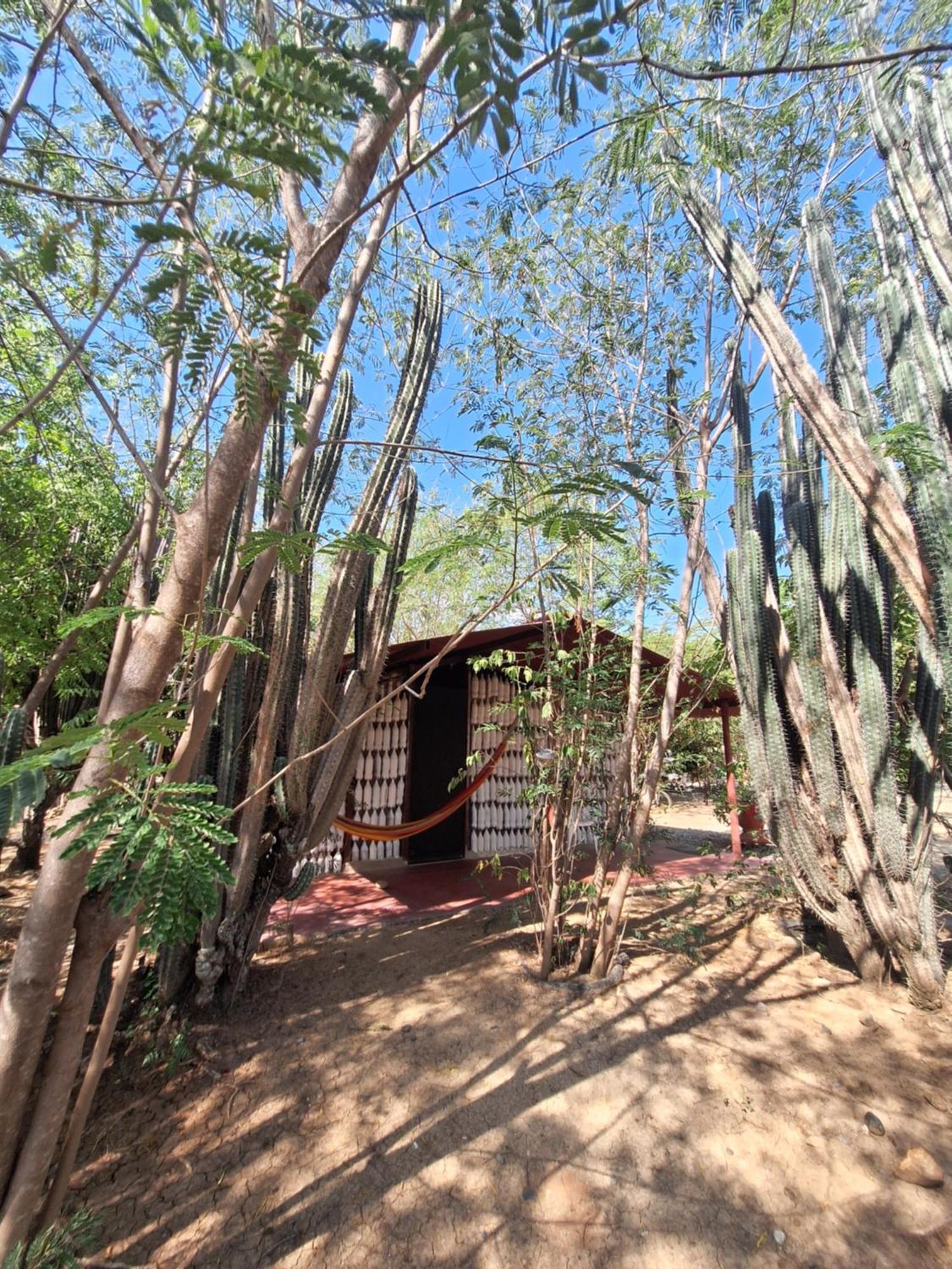 Alojamiento Casa De Campo Los Cactus Villavieja Buitenkant foto