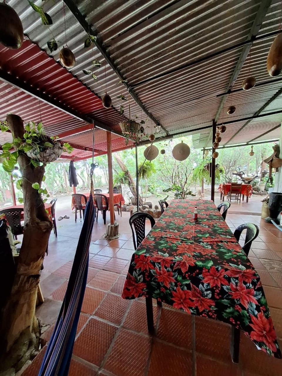 Alojamiento Casa De Campo Los Cactus Villavieja Buitenkant foto