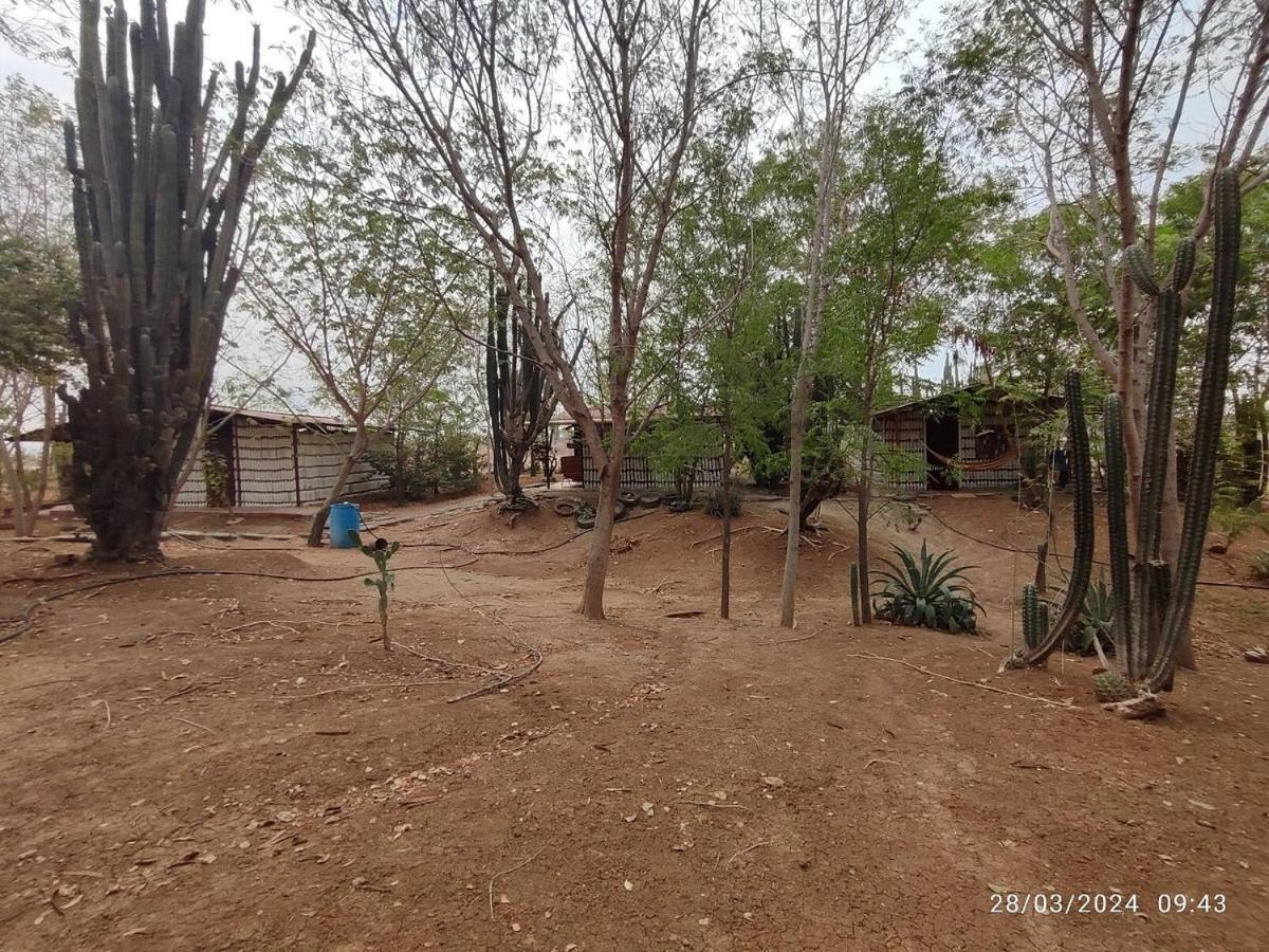 Alojamiento Casa De Campo Los Cactus Villavieja Buitenkant foto