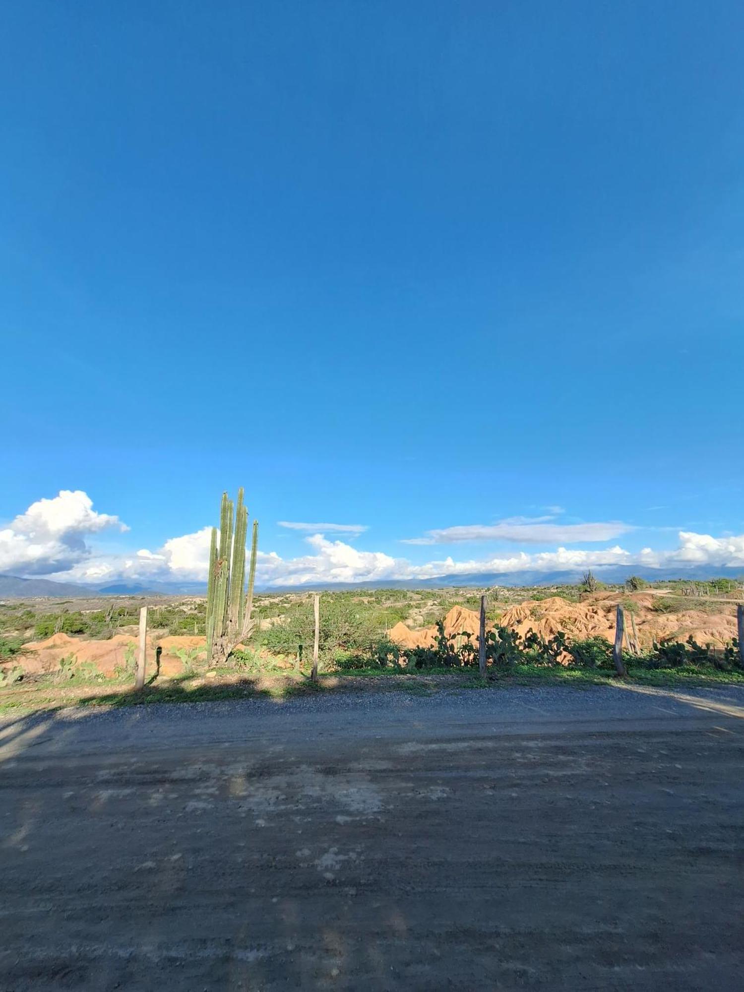 Alojamiento Casa De Campo Los Cactus Villavieja Buitenkant foto
