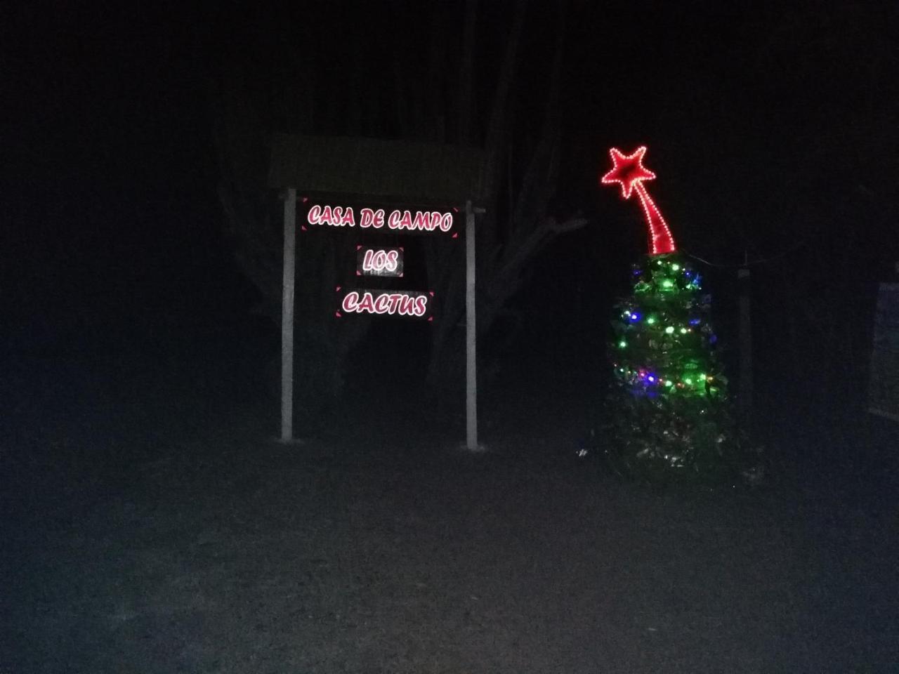 Alojamiento Casa De Campo Los Cactus Villavieja Buitenkant foto