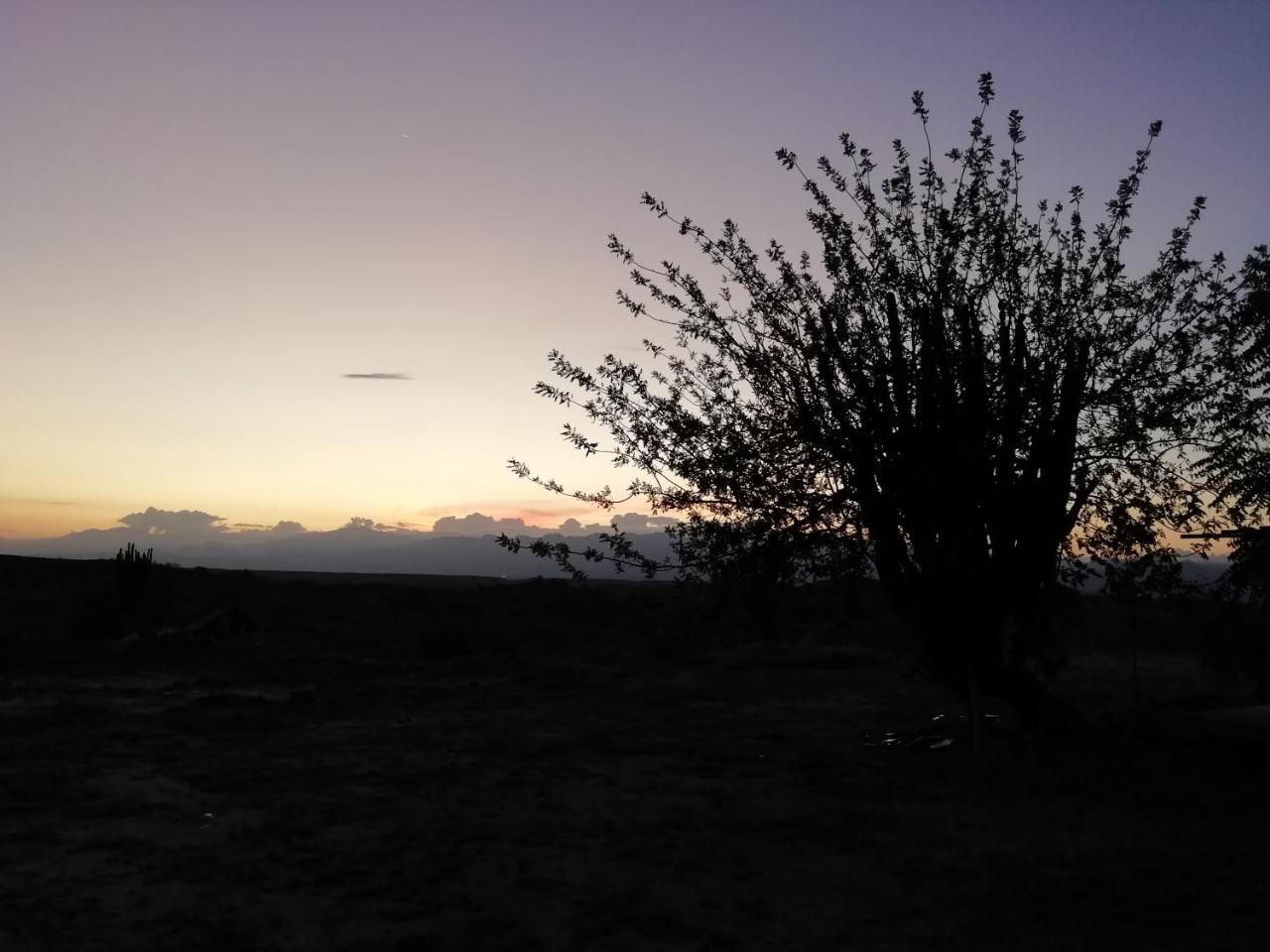 Alojamiento Casa De Campo Los Cactus Villavieja Buitenkant foto