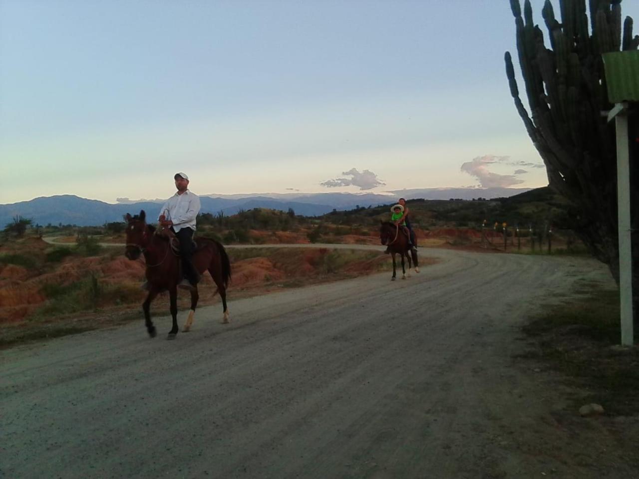 Alojamiento Casa De Campo Los Cactus Villavieja Buitenkant foto
