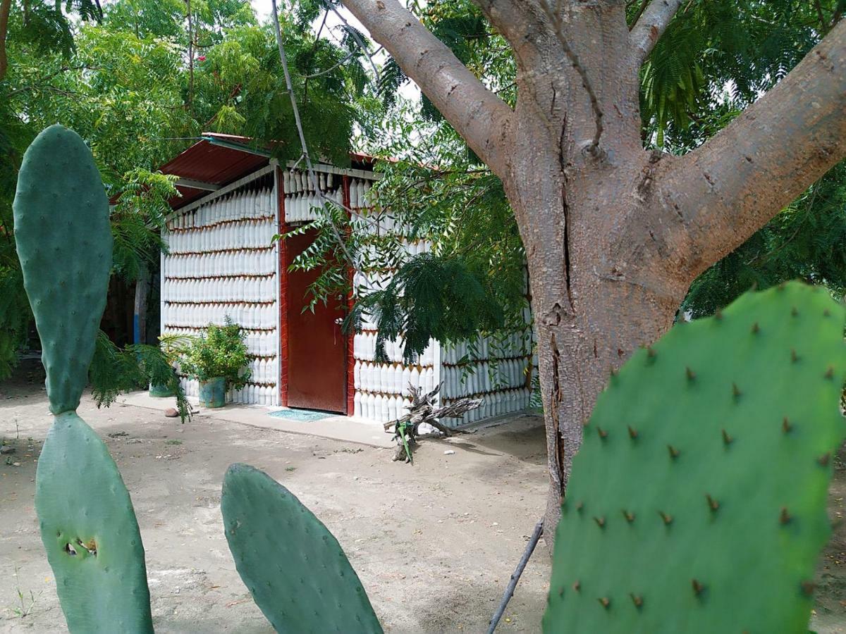 Alojamiento Casa De Campo Los Cactus Villavieja Buitenkant foto