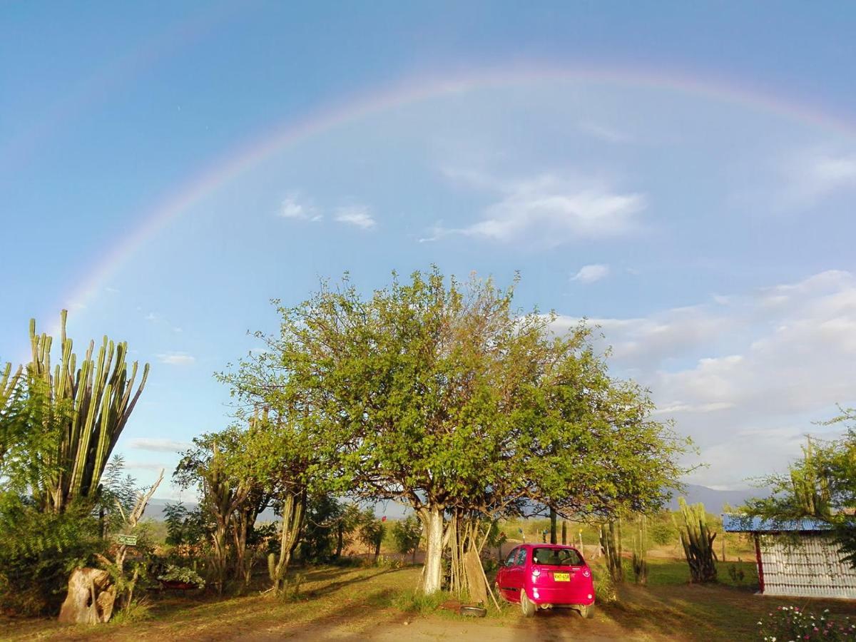 Alojamiento Casa De Campo Los Cactus Villavieja Buitenkant foto
